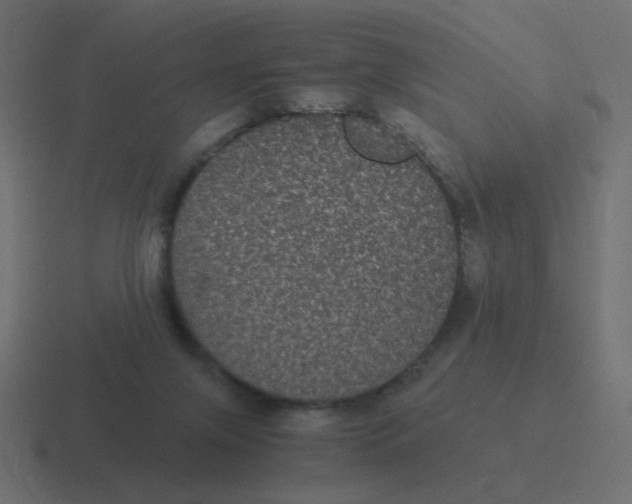 X0000116480071200912292054