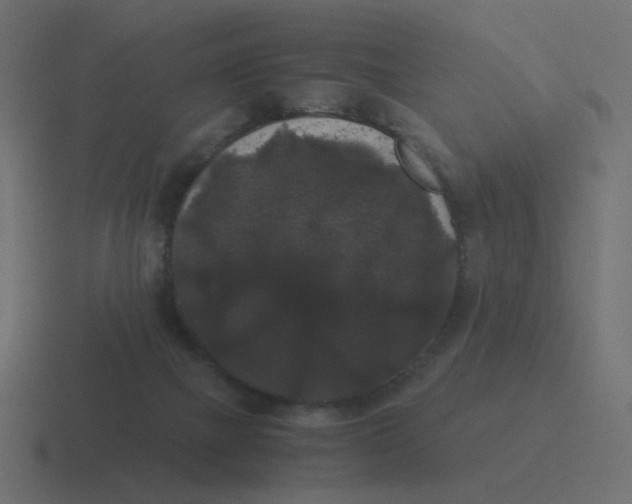 X0000116480073200912292054