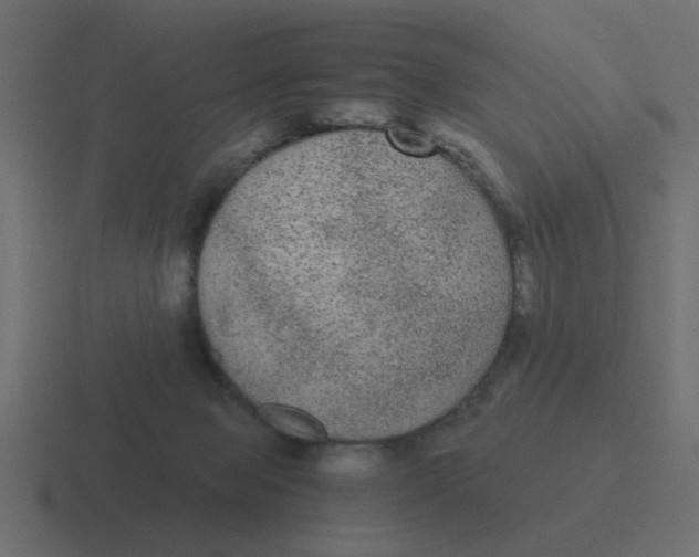 X0000116480077200912292054