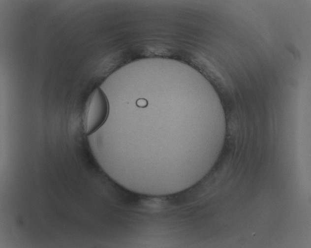 X0000116480079200912292054