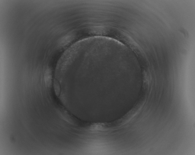 X0000116480080200912292054