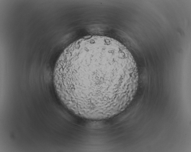 X0000116480081200912292054