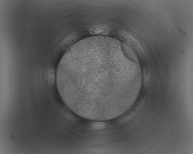 X0000116480085200912292054