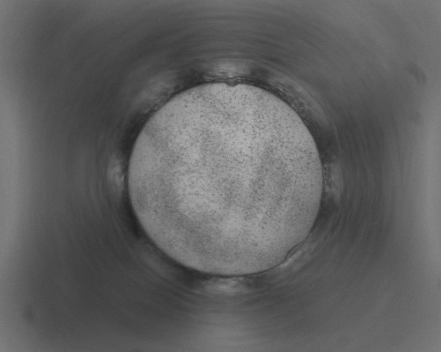 X0000116480086200912292054