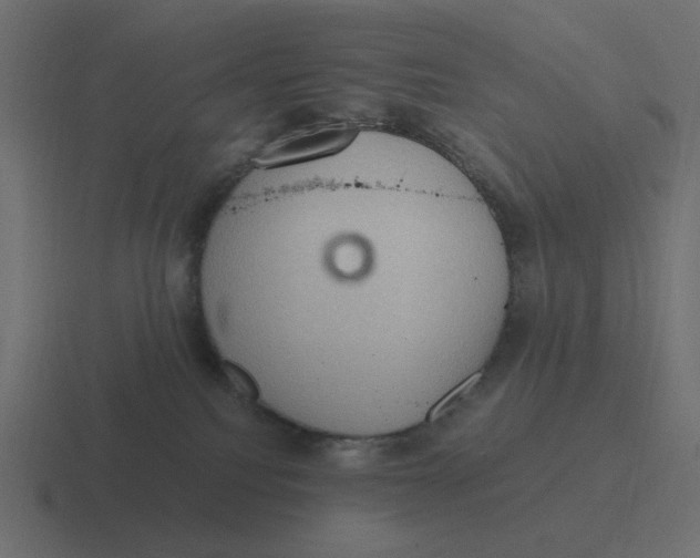 X0000116480088200912292054