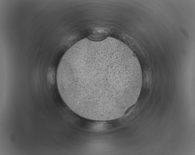 X0000116480090200912292054