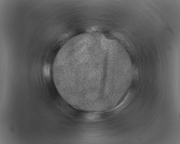 X0000116480094200912292054