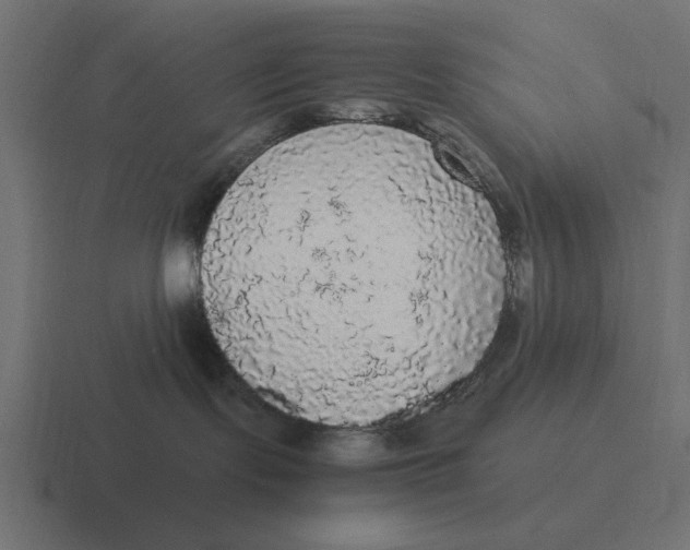 X0000116480095200912292054