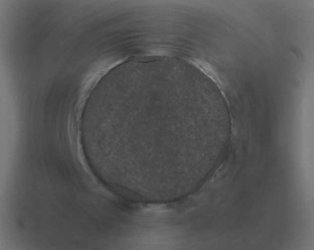 X0000116480097200912292054