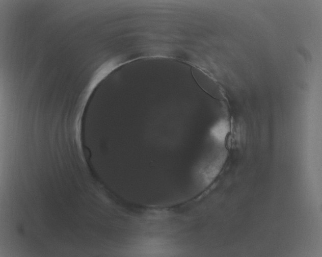 X0000116480099200912292054