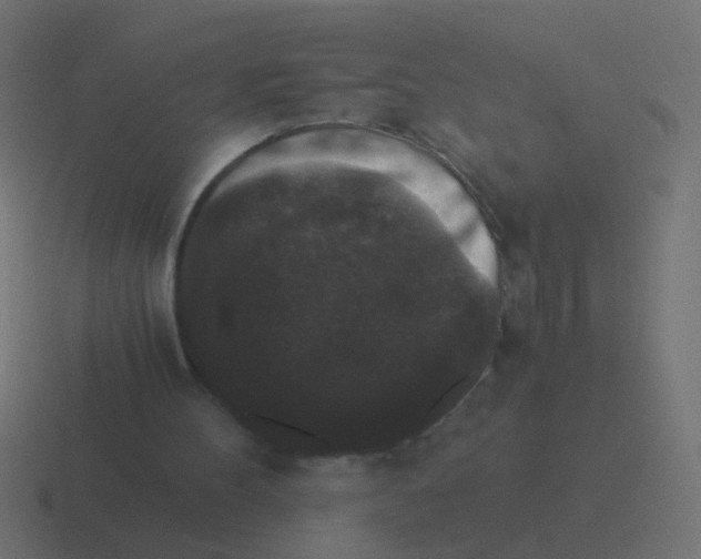 X0000116480100200912292054