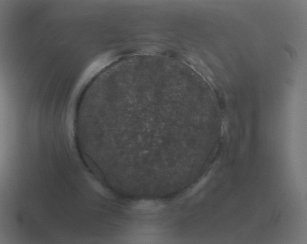 X0000116480101200912292054