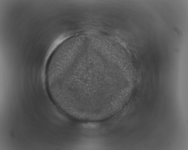 X0000116480102200912292054