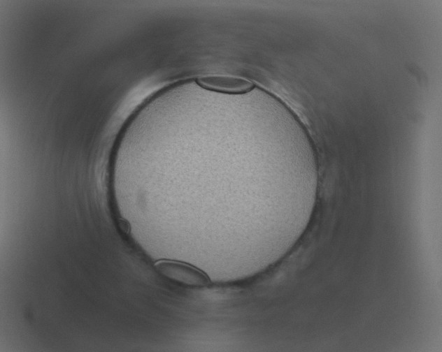 X0000116480103200912292054