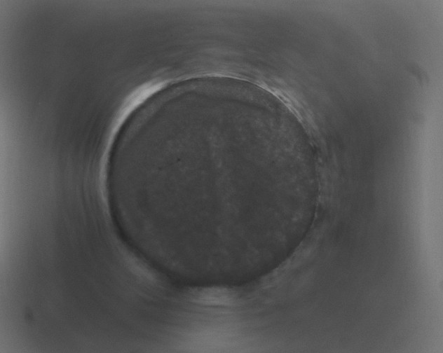 X0000116480104200912292054