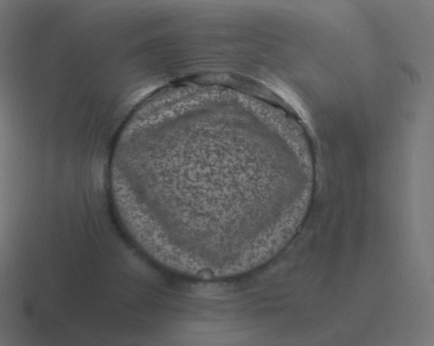 X0000116480105200912292054