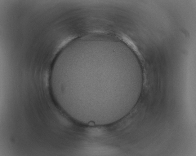 X0000116480106200912292054