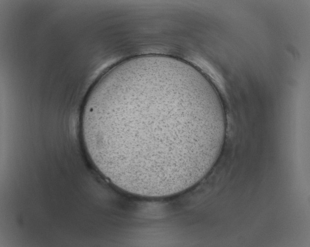 X0000116480107200912292054