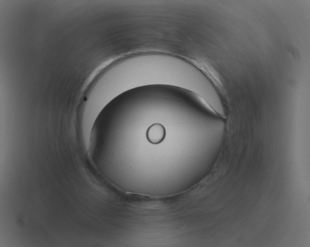 X0000116480108200912292054