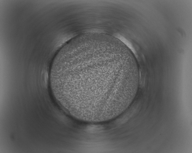 X0000116480109200912292054