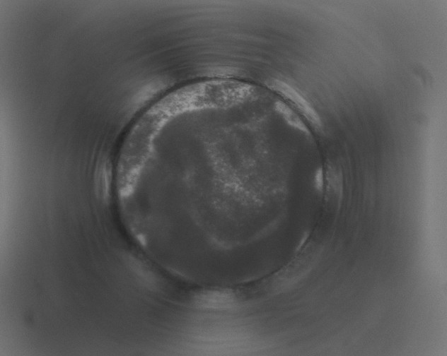 X0000116480110200912292054