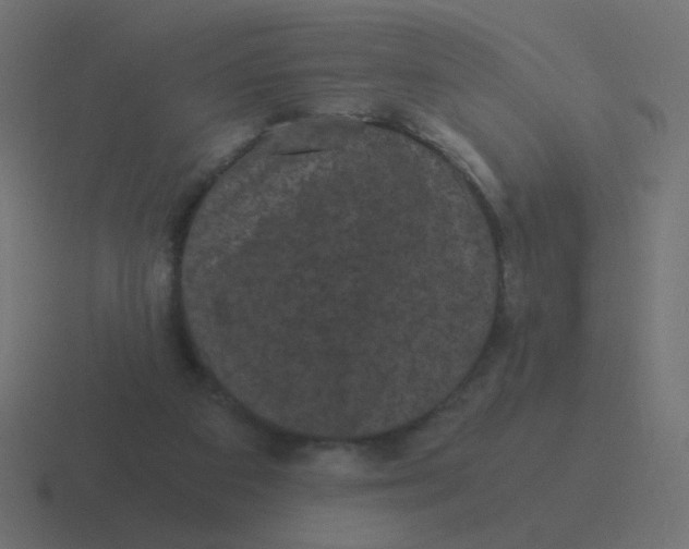 X0000116480113200912292053