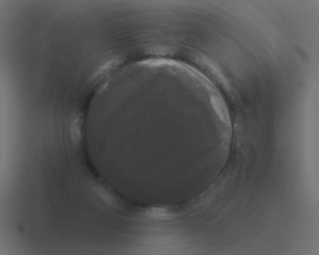 X0000116480114200912292053