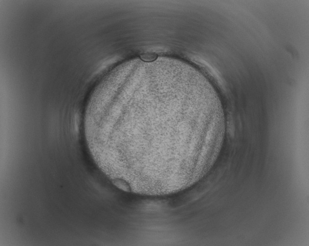 X0000116480115200912292053