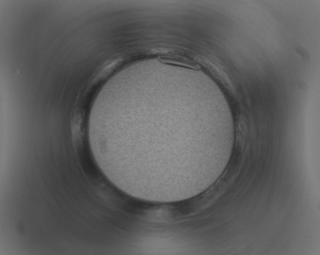 X0000116480116200912292053