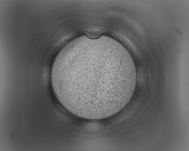 X0000116480119200912292053