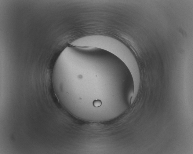 X0000116480121200912292053