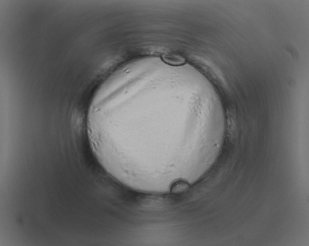 X0000116480123200912292053