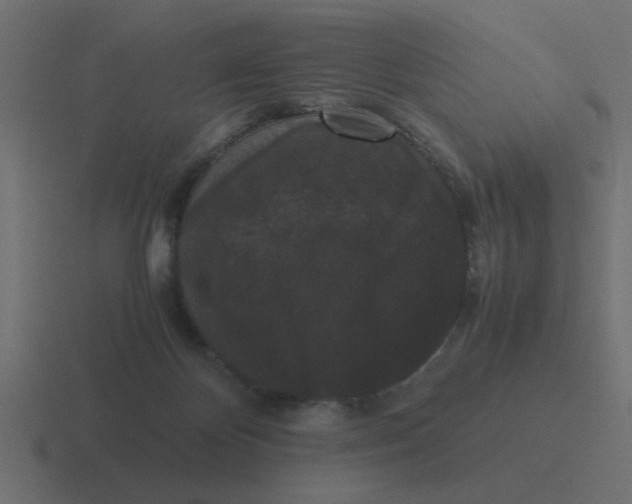 X0000116480124200912292053