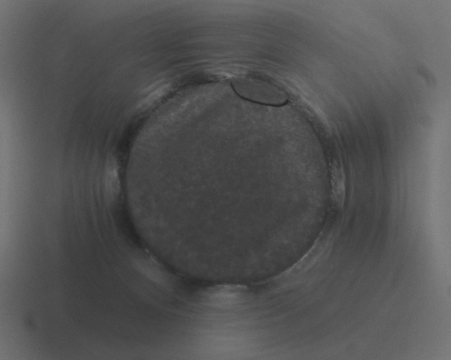 X0000116480128200912292053