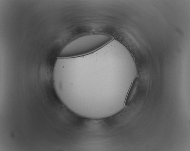 X0000116480129200912292053