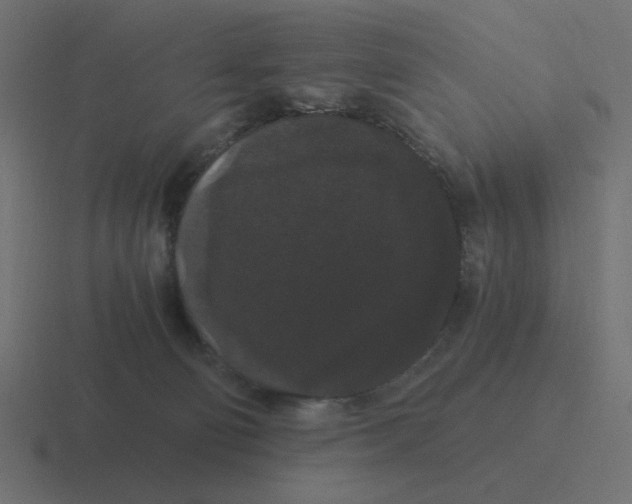 X0000116480130200912292053