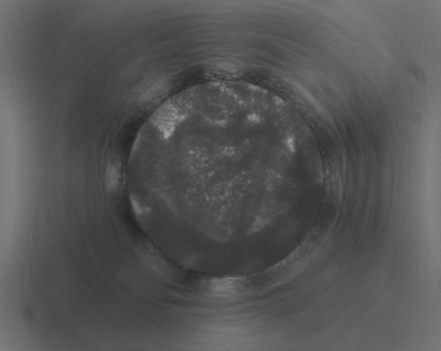 X0000116480134200912292053