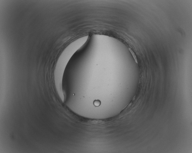 X0000116480137200912292053