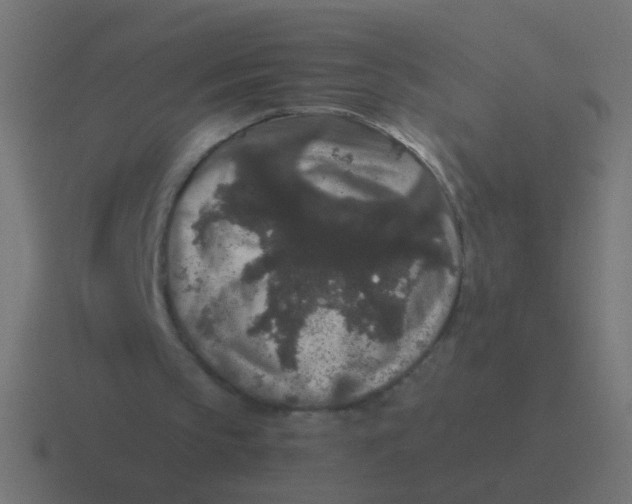 X0000116480145200912292052