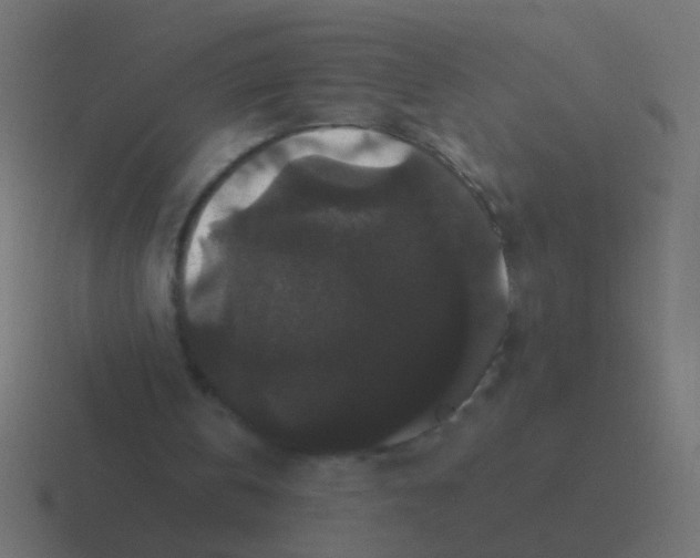 X0000116480146200912292053