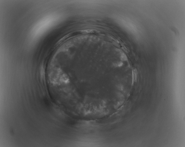 X0000116480147200912292053