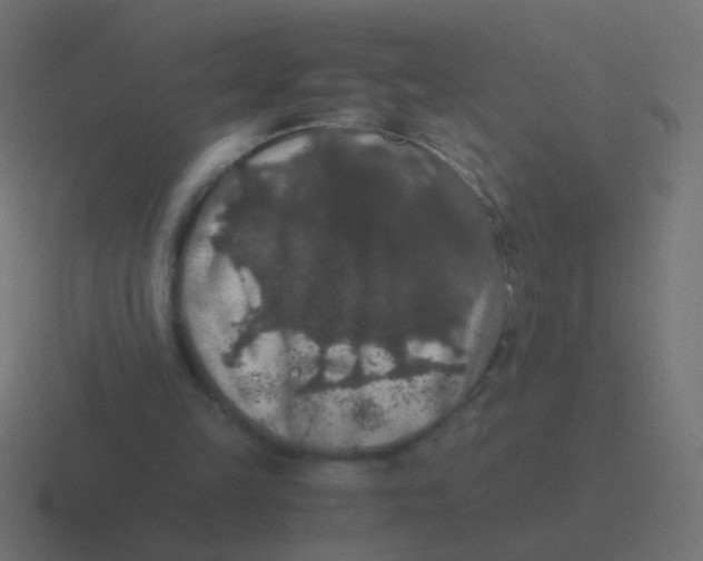 X0000116480149200912292053