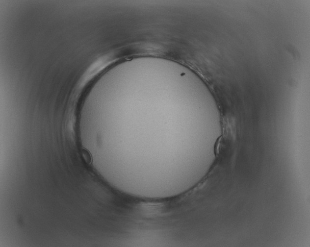 X0000116480150200912292053