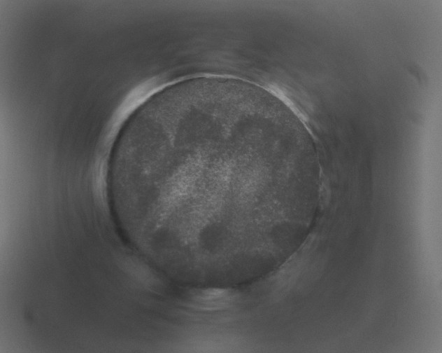 X0000116480151200912292053