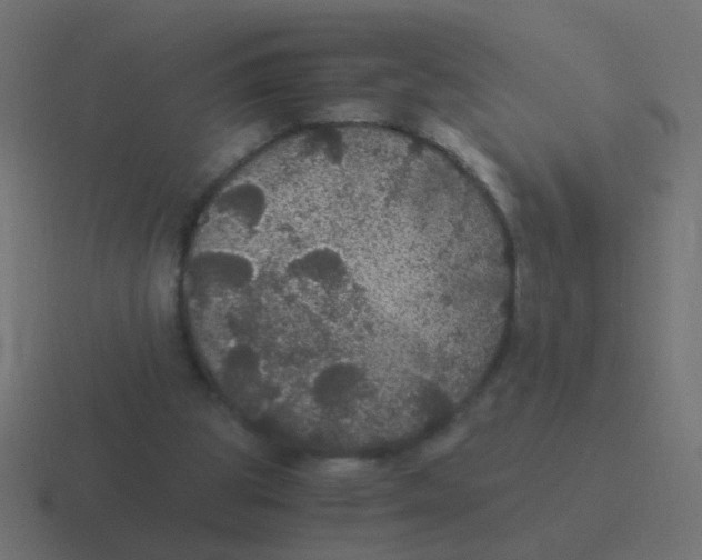 X0000116480153200912292053