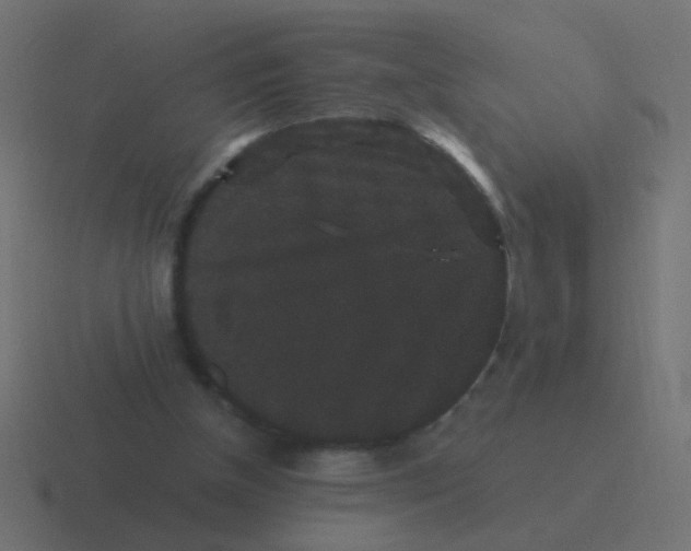 X0000116480154200912292053