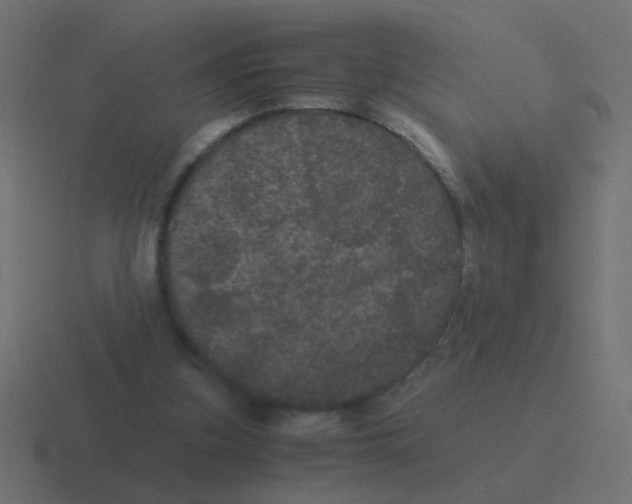 X0000116480155200912292053