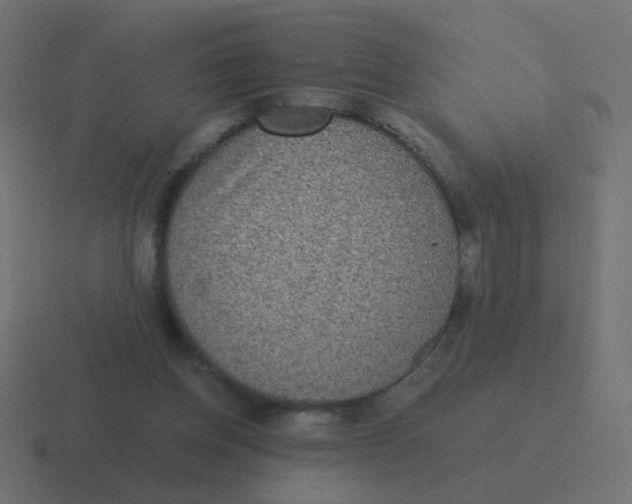 X0000116480158200912292053