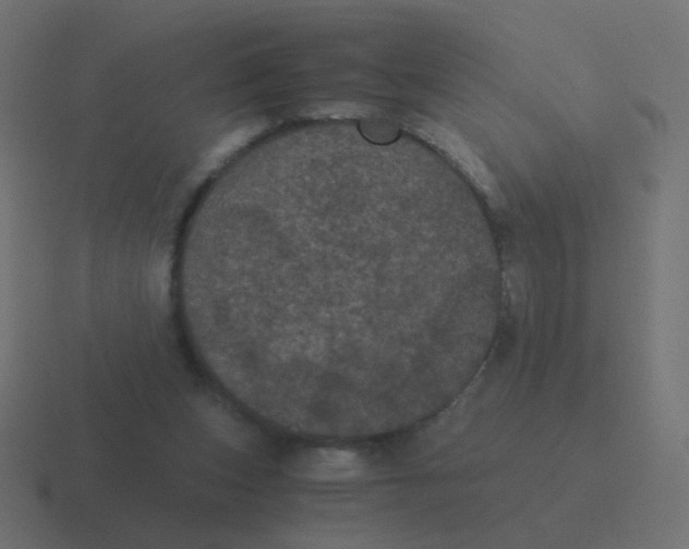 X0000116480159200912292053