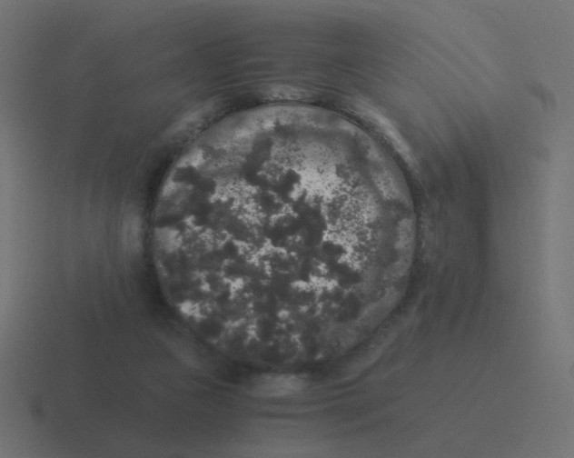 X0000116480161200912292053